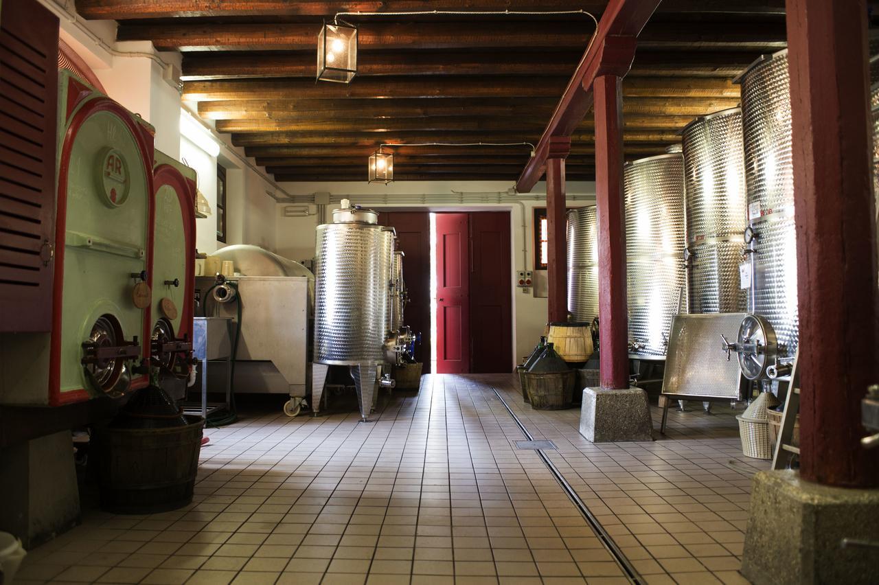Villa Casali Del Picchio - Winery Cividale del Friuli Exterior foto